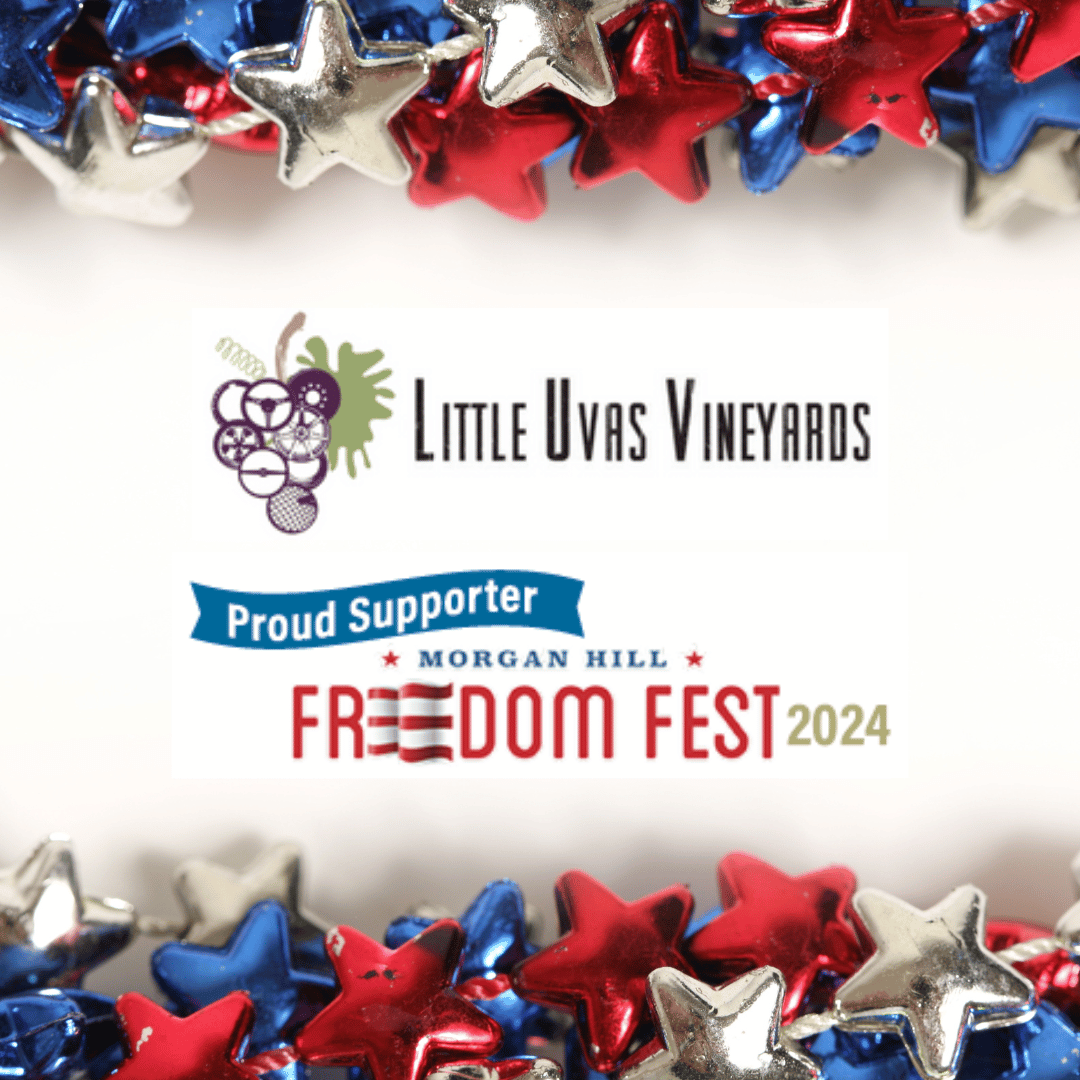 Graphic showing LUV logo and Freedomfest logo